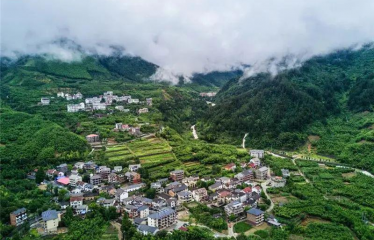 農(nóng)業(yè)農(nóng)村部：鼓勵(lì)社會(huì)資本投入現(xiàn)代種養(yǎng)業(yè)等重點(diǎn)產(chǎn)業(yè)和領(lǐng)域