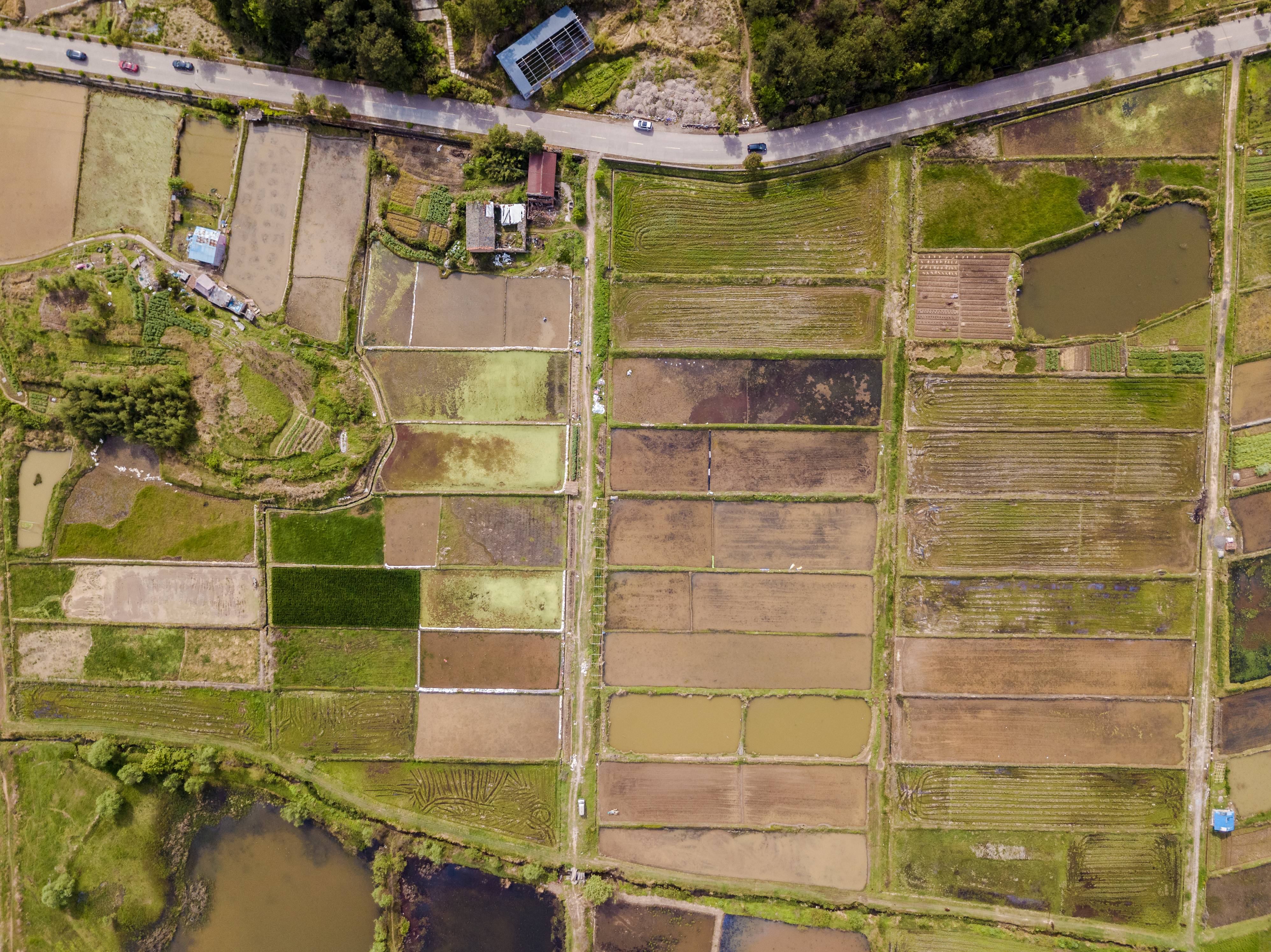 自然資源部出臺“要素穩(wěn)增長26條” ，涉及用地用海審批、耕地和永久基本農(nóng)田保護(hù)等內(nèi)容