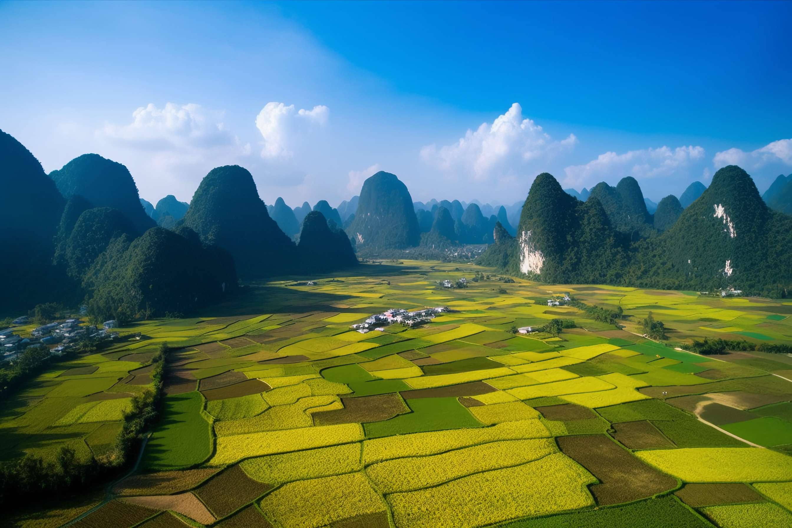 王廣華：切實(shí)加強(qiáng)耕地保護(hù) 改革完善占補(bǔ)平衡制度