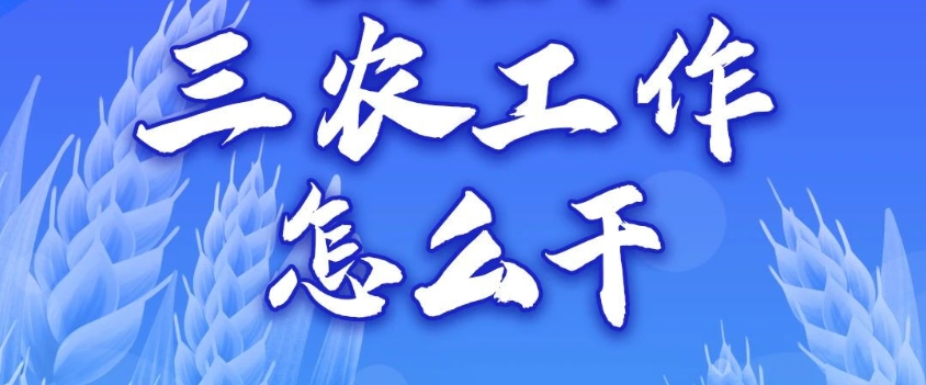 一圖讀懂丨2024年三農(nóng)工作怎么干？
