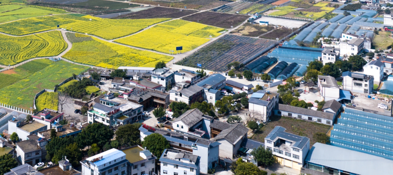 自然資源部發(fā)布《平急功能復合的韌性城市規(guī)劃與土地政策指引》：強調(diào)推進監(jiān)測網(wǎng)絡建設、耕地保護等