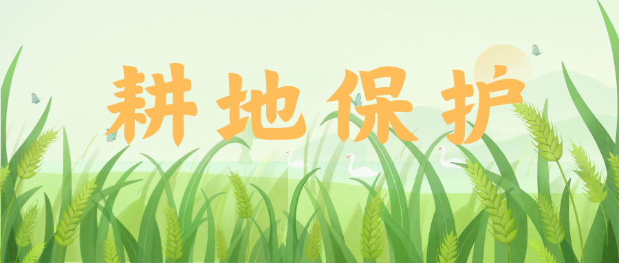 重磅！廣東省印發(fā)《廣東省耕地保護專項規(guī)劃（2021-2035年）》