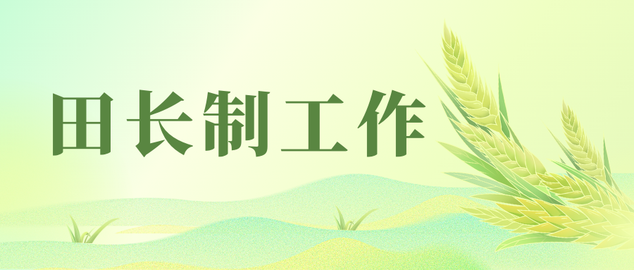 廣東省2024年第1號(hào)總田長(zhǎng)令簽發(fā)——頒布實(shí)施《廣東省田長(zhǎng)制工作規(guī)則》等三項(xiàng)配套制度