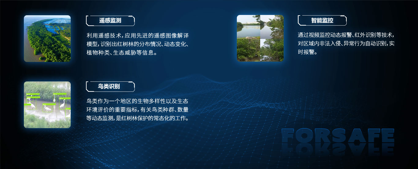 紅樹林資源立體監(jiān)測.jpg